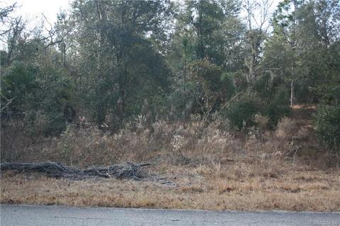 618 E Savoy St S, Lecanto, FL 34461 photo 5