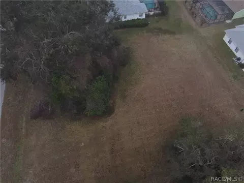 3013 E Brigadoon Ct, Hernando, FL 34442 photo 2