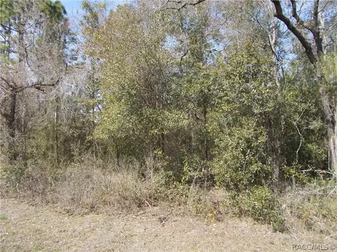 1713 W Stafford St, Hernando, FL 34442 photo 3