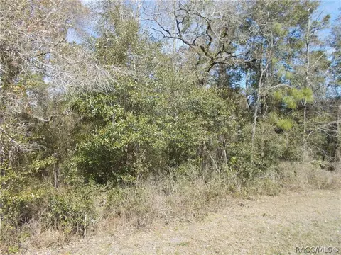 1713 W Stafford St, Hernando, FL 34442 photo 2