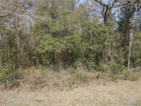 1713 W Stafford St, Hernando, FL 34442 photo 1