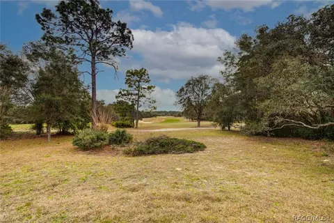3738 N Grayhawk Loop, Lecanto, FL 34461 photo 44