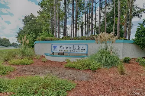 3645 E Arbor Lakes Dr, Hernando, FL 34442 photo 41