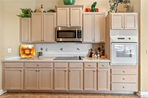225 W Redsox Path, Hernando, FL 34442 photo 14