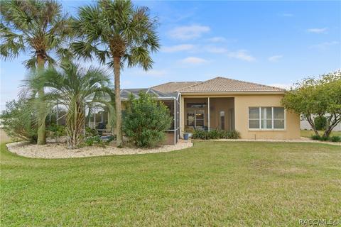 225 W Redsox Path, Hernando, FL 34442 photo 47