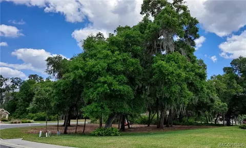 471 W Cobblestone Loop, Hernando, FL 34442 photo 1