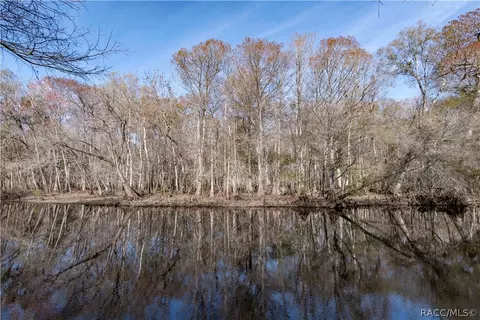 6105 E River Rd, Hernando, FL 34442 photo 35