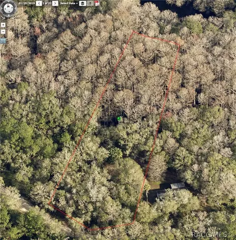 6105 E River Rd, Hernando, FL 34442 photo 31