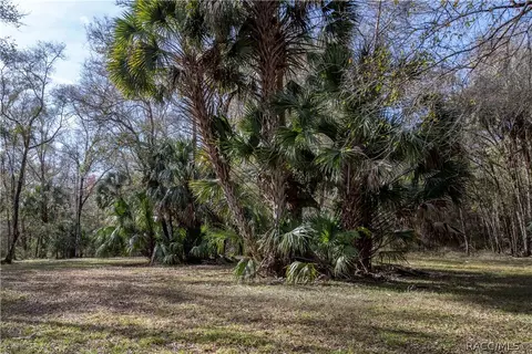 6105 E River Rd, Hernando, FL 34442 photo 34