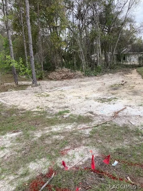 2599 E Farewell Path, Hernando, FL 34442 photo 1