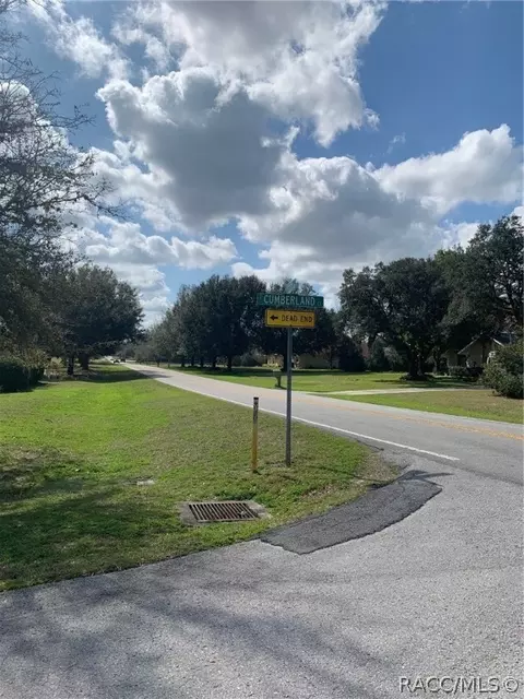 343 E Cumberland Ct, Hernando, FL 34442 photo 9