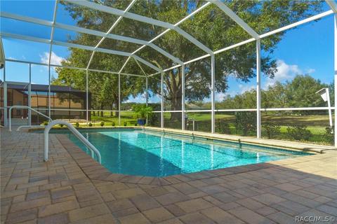 95 W Mickey Mantle Path, Hernando, FL 34442 photo 31