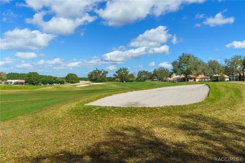 95 W Mickey Mantle Path, Hernando, FL 34442 photo 37