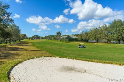 95 W Mickey Mantle Path, Hernando, FL 34442 photo 36