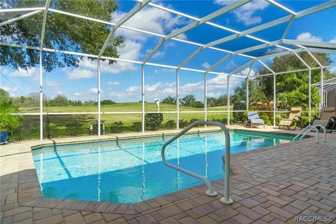 95 W Mickey Mantle Path, Hernando, FL 34442 photo 18