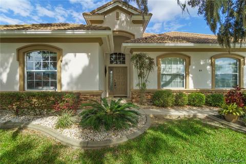 95 W Mickey Mantle Path, Hernando, FL 34442 photo 4