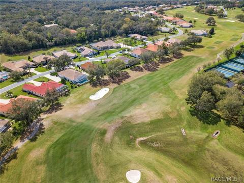 95 W Mickey Mantle Path, Hernando, FL 34442 photo 39