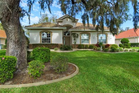 95 W Mickey Mantle Path, Hernando, FL 34442 photo 1