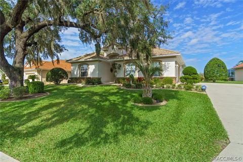 95 W Mickey Mantle Path, Hernando, FL 34442 photo 43