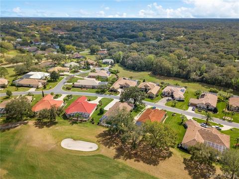 95 W Mickey Mantle Path, Hernando, FL 34442 photo 42
