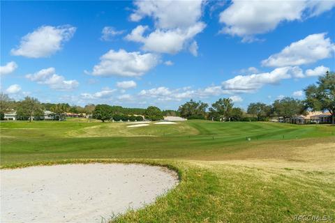 95 W Mickey Mantle Path, Hernando, FL 34442 photo 38