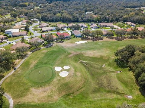 95 W Mickey Mantle Path, Hernando, FL 34442 photo 40