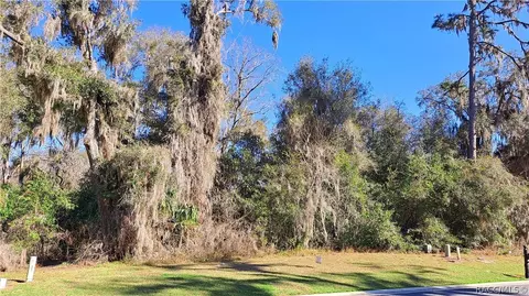 488 W Cobblestone Loop, Hernando, FL 34442 photo 1