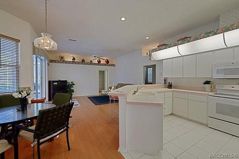 360 N Turkey Pine Loop, Lecanto, FL 34461 photo 10