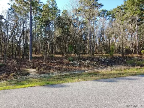 2424 E Celina St, Inverness, FL 34453 photo 1