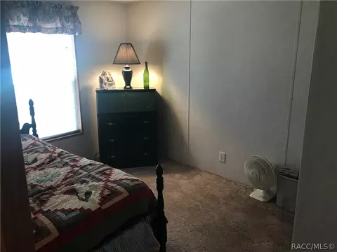 6038 N Mallard Dr, Hernando, FL 34442 photo 16
