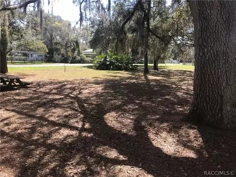 6038 N Mallard Dr, Hernando, FL 34442 photo 18