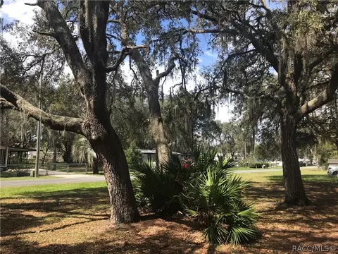 6038 N Mallard Dr, Hernando, FL 34442 photo 20