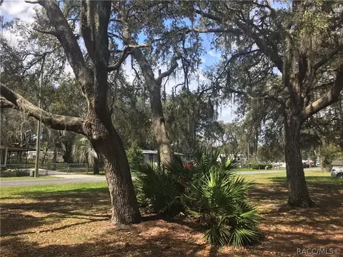 6038 N Mallard Dr, Hernando, FL 34442 photo 19