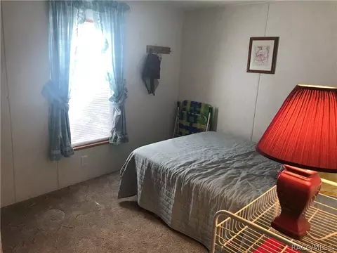 6038 N Mallard Dr, Hernando, FL 34442 photo 14