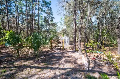 297 E Reehill St, Lecanto, FL 34461 photo 41