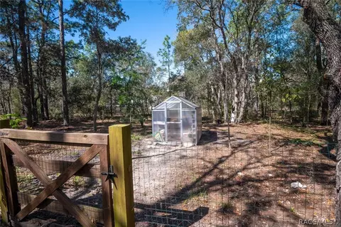 297 E Reehill St, Lecanto, FL 34461 photo 42