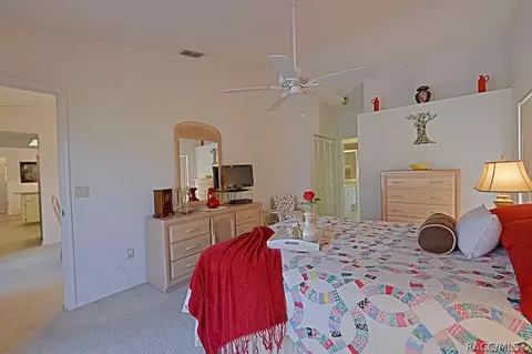 258 N Turkey Pine Loop, Lecanto, FL 34461 photo 24