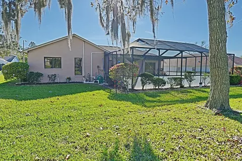 258 N Turkey Pine Loop, Lecanto, FL 34461 photo 41