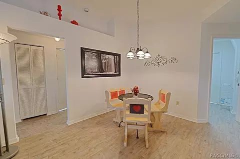 258 N Turkey Pine Loop, Lecanto, FL 34461 photo 14