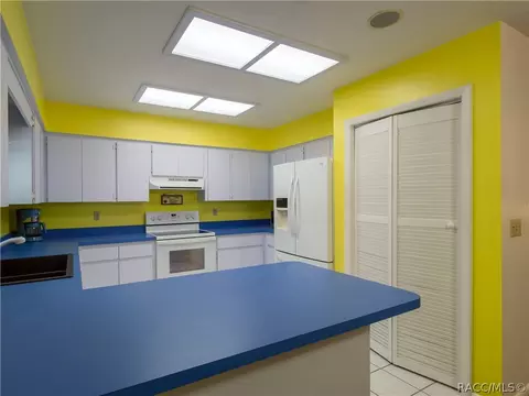 2104 E Dearborn Dr, Hernando, FL 34442 photo 27