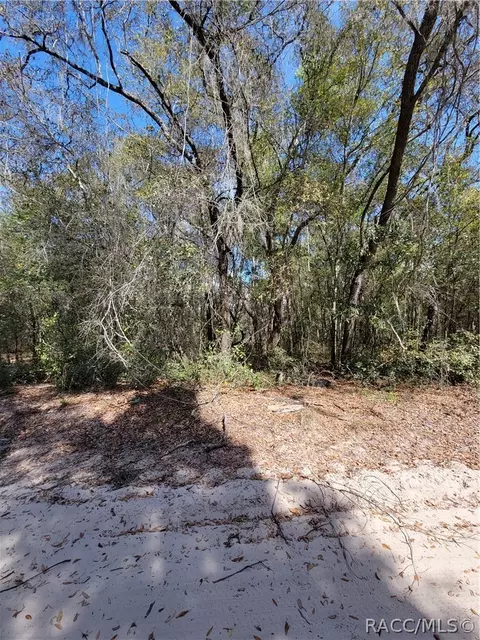 6301 N 6289 N Pagoda Tree Ter, Hernando, FL 34442 photo 8