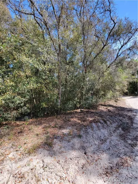 6301 N 6289 N Pagoda Tree Ter, Hernando, FL 34442 photo 7
