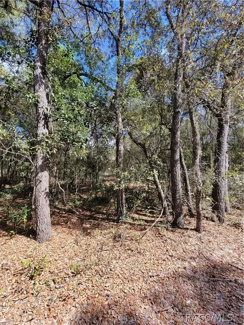 6301 N 6289 N Pagoda Tree Ter, Hernando, FL 34442 photo 4