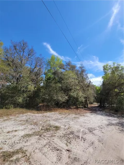 6301 N 6289 N Pagoda Tree Ter, Hernando, FL 34442 photo 2