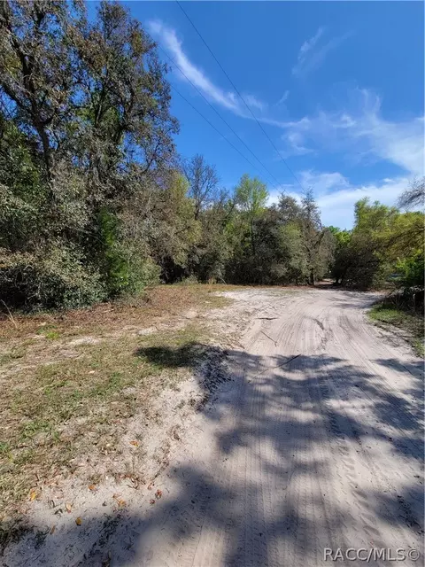 6301 N 6289 N Pagoda Tree Ter, Hernando, FL 34442 photo 1