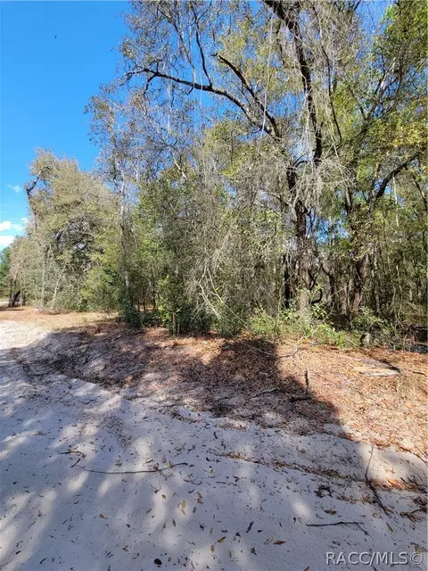 6301 N 6289 N Pagoda Tree Ter, Hernando, FL 34442 photo 9