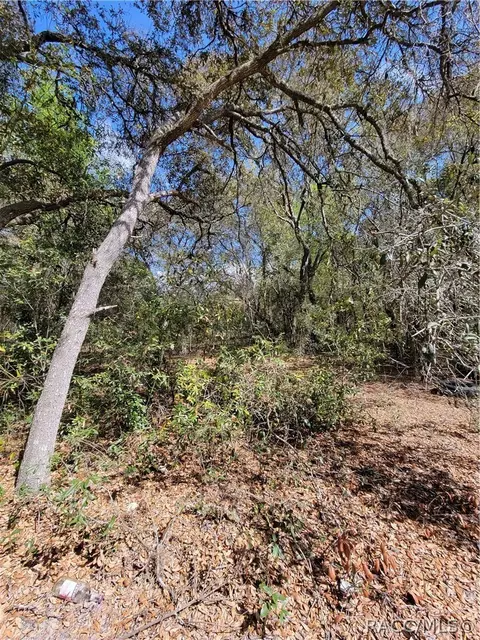 6301 N 6289 N Pagoda Tree Ter, Hernando, FL 34442 photo 6