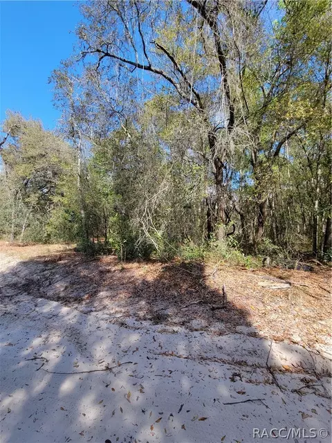 6301 N 6289 N Pagoda Tree Ter, Hernando, FL 34442 photo 10