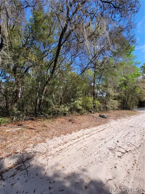 6301 N 6289 N Pagoda Tree Ter, Hernando, FL 34442 photo 11
