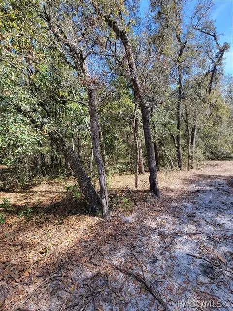 6301 N 6289 N Pagoda Tree Ter, Hernando, FL 34442 photo 3